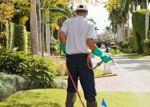 About Red Rock AZ Pest Control